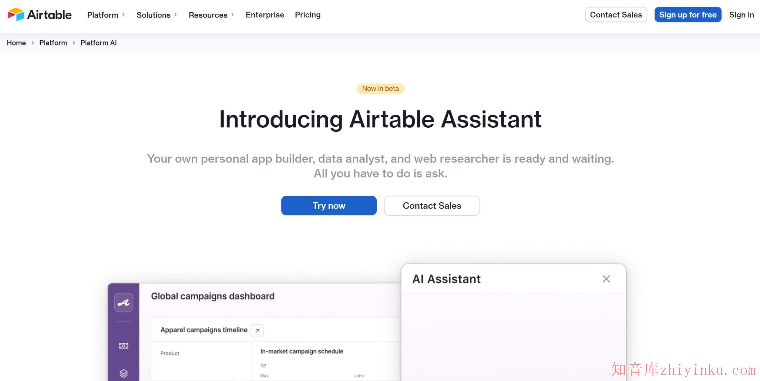 Airtable Assistant